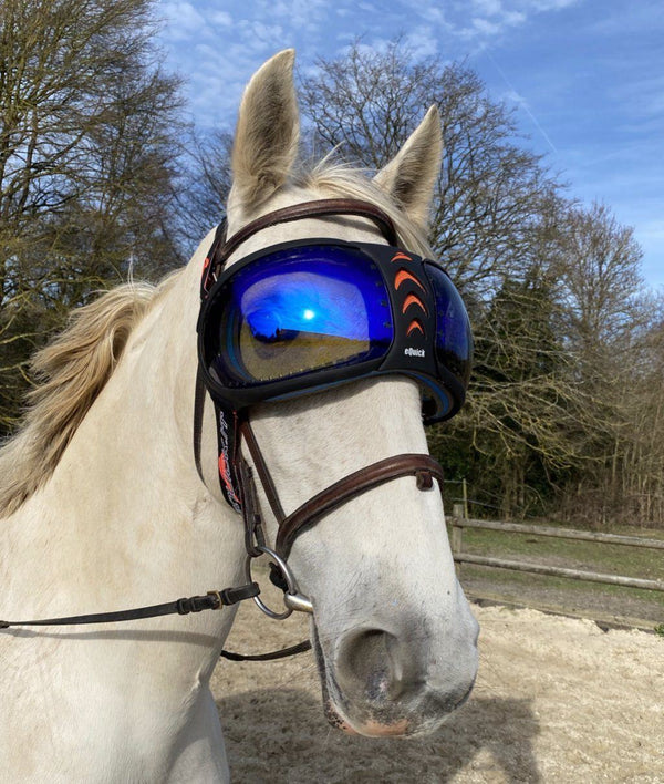 evysor equine goggles eVysor eQuick horse glasses, 100% UV protection - blue mirror