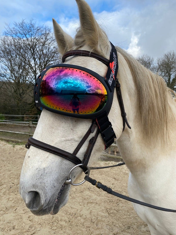 Lunettes cheval eVysor eQuick 100% anti-UV - rainbow mirror