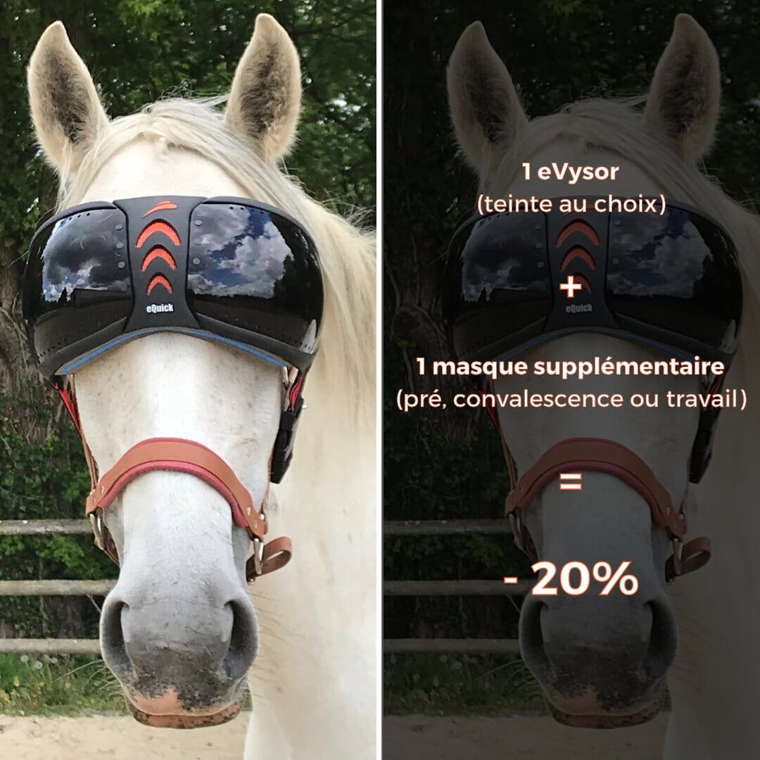 Packs mit Arbeitsmaske eVysor