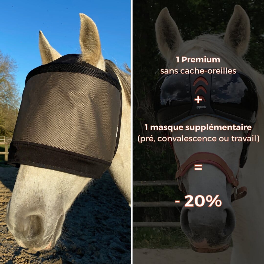 Packs mit Premium-Maske ohne Ohrenklappen