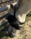 Arso Equivizor Anti-UV-Pferdemütze mit Bügel gegen Uveitis bei Pferden - Equidiva