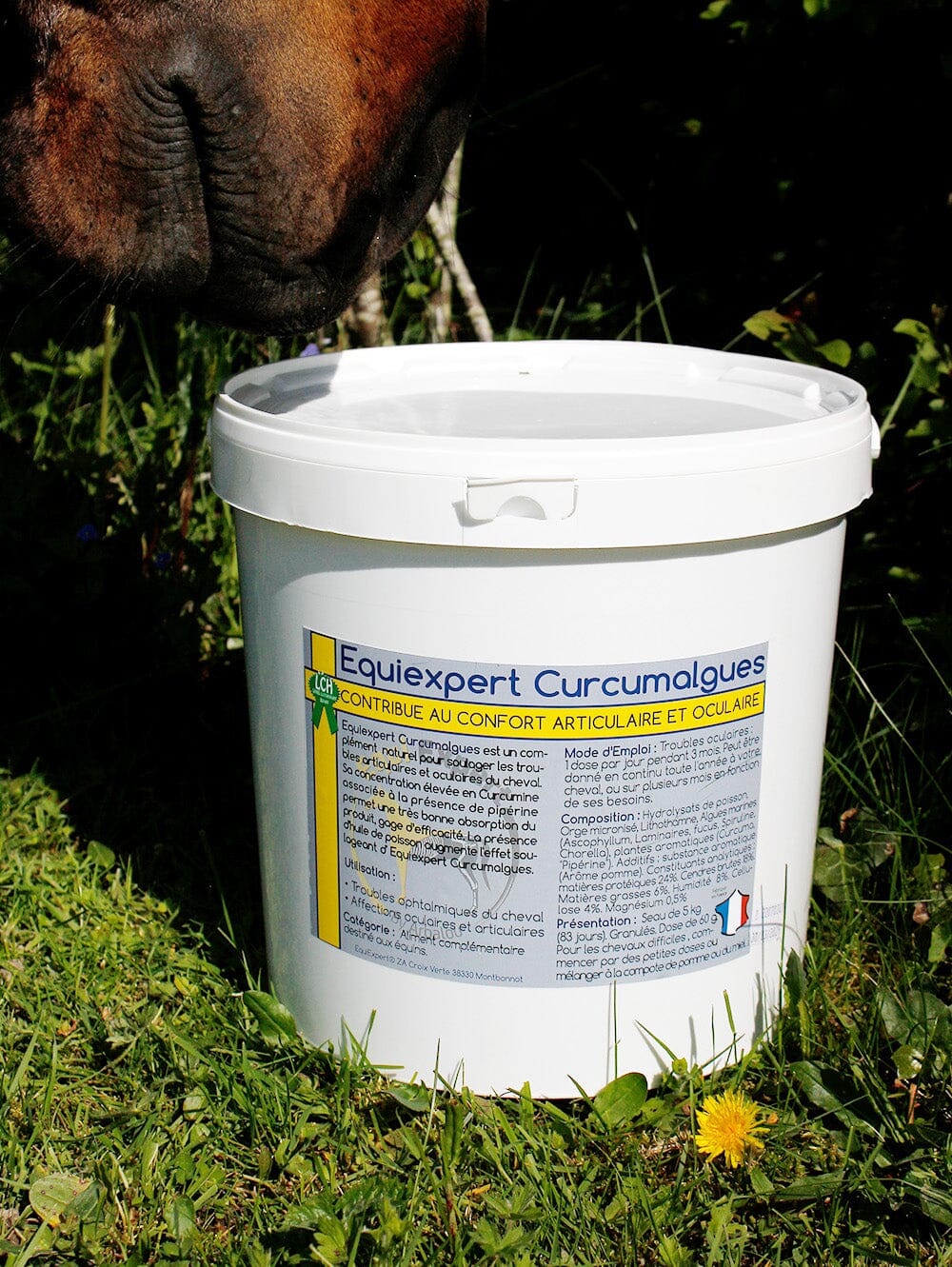 Curcumalgues – Entzündungshemmer für Augen und Gelenke