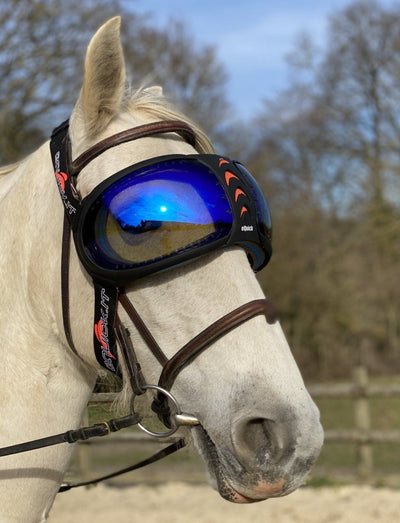 Pferdebrille eVysor eQuick Anti-UV 100% gegen Uveitis bei Pferden - blue mirror - Equidiva