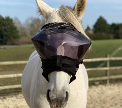 Equivizor ophthalmologische Rekonvaleszenzbrille für Pferde - Dunkles PVC Anti-UV - Equidiva