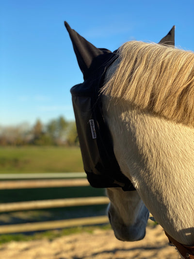 Pferdemaske Premium equidiva 90% UV-Schutz mit Ohrenklappen