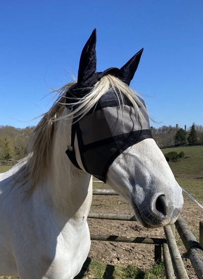 eVysor-Paket + Leichte Equivizor-Maske mit Ohrenklappen