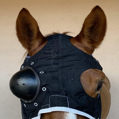 Leichtes Equivizor-Paket ohne Ohrenklappen + Equivet-Maske