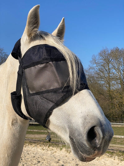 Leichtes Pack Equivizor ohne Ohrenklappen + Premium Equidiva Maske mit Ohrenklappen