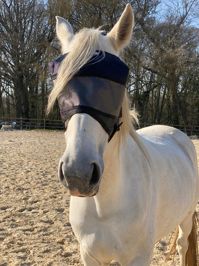 Leichtes Pack Equivizor ohne Ohrenklappen + Premium Equidiva Maske mit Ohrenklappen