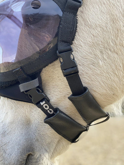 Pack - Equivizor Rekonvaleszenzmaske + Equidiva Premium Maske mit Ohrenklappen Pferd - Equidiva