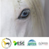 Phyto pack and equine eye care