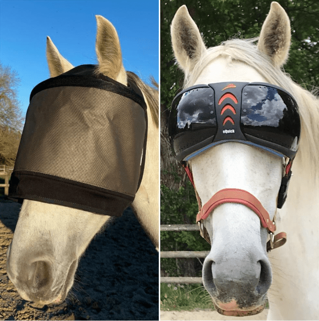 UV-Schutzmaske für Pferde auf der Weide und zum Reiten