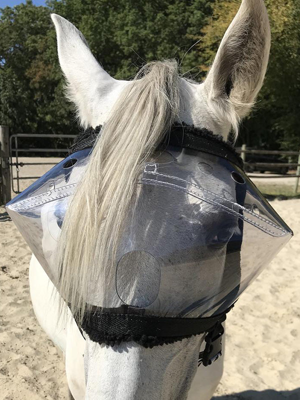 Goggles Masks Eye protection against uveitis in horses