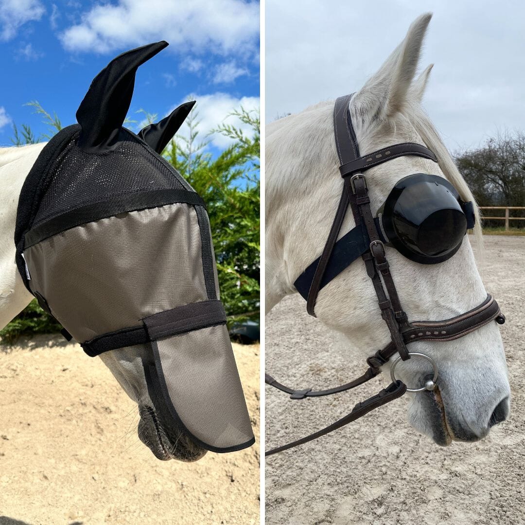 Pack of 2 masks: Helios with ear covers + equigoogs glasses