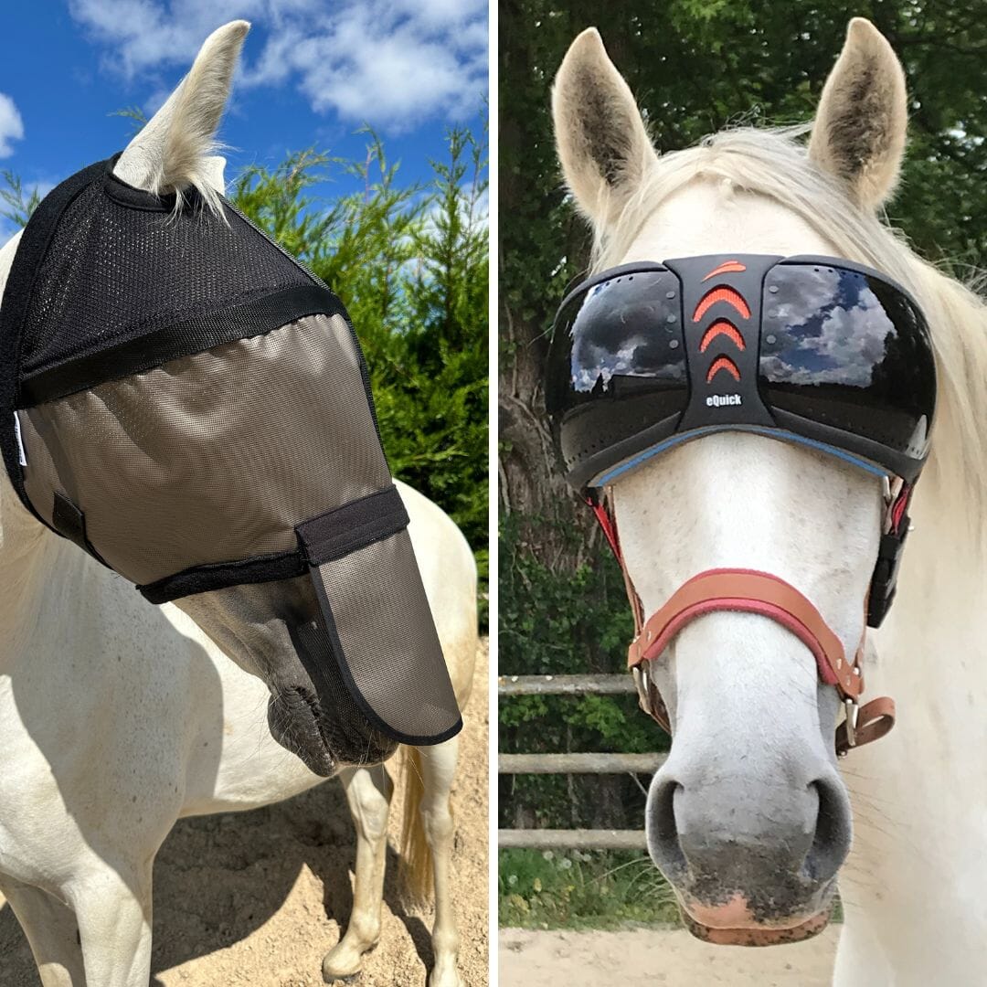 Pack of 2 masks: Helios without ear covers + eVysor of your choice