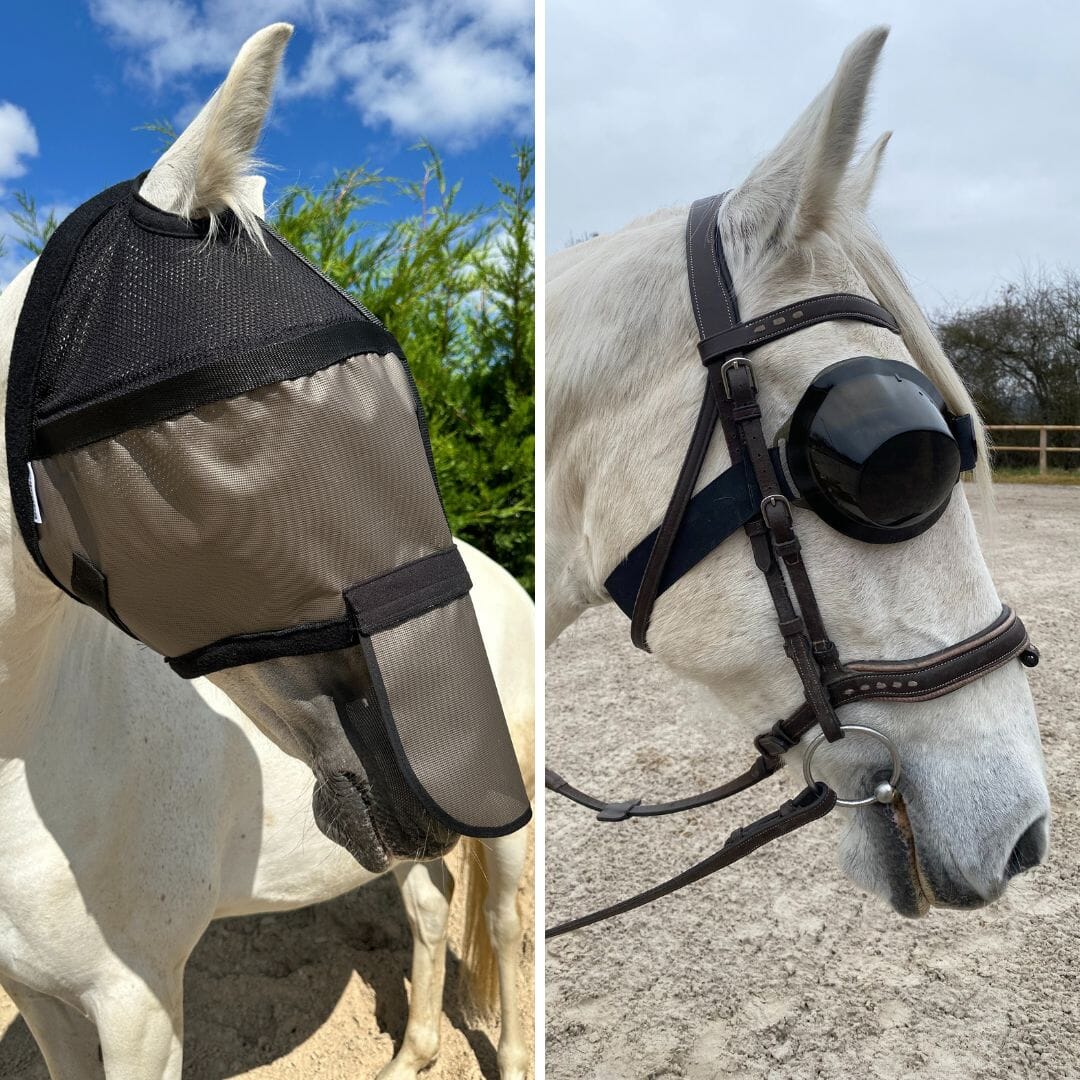 2-mask pack: Helios without ear covers + equigoogs glasses