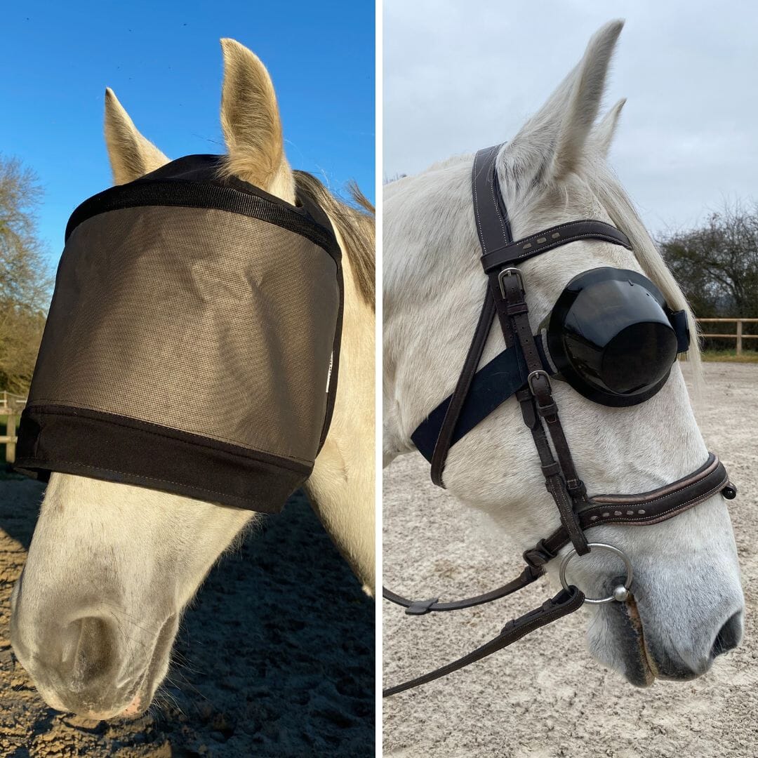 Pack masque de pré Premium sans cache-oreilles et lunettes de travail equigoogs