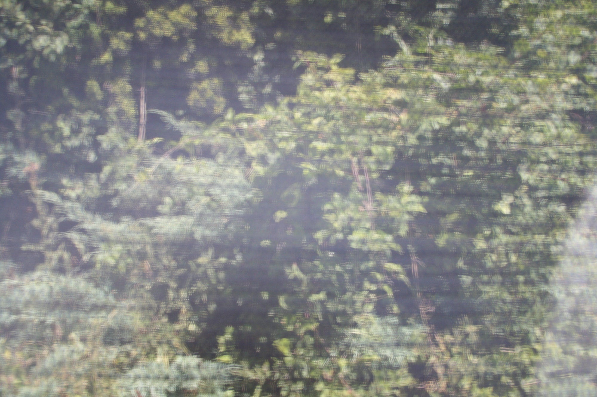 Premium Equidiva UV-protective horse hood with ears to prevent equine uveitis - Equidiva