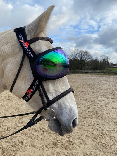eVysor eQuick 100% anti-UV horse goggles - green mirror -