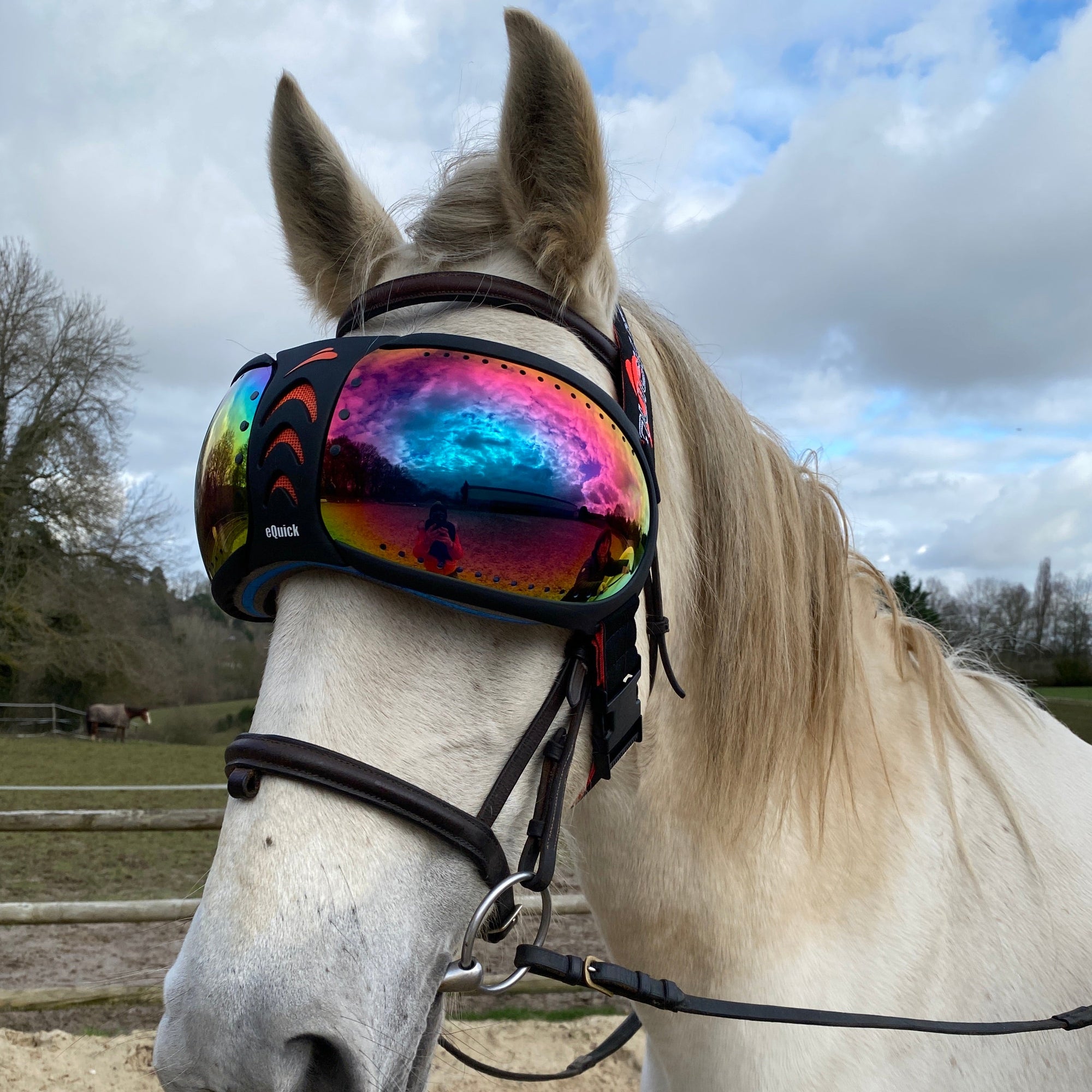 equick horse goggles eVysor eQuick horse glasses, 100% UV protection - rainbow mirror