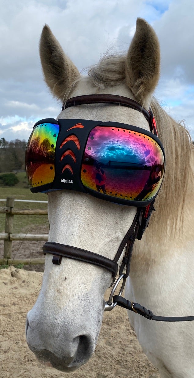 eVysor eQuick horse goggles, 100% UV protection - rainbow mirror -