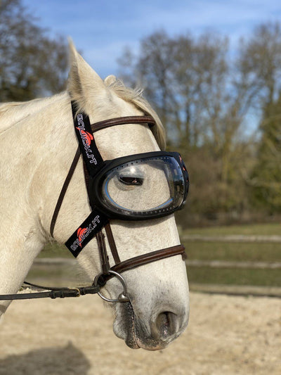 eVysor eQuick anti-UV 100% uveitis horse goggles - clear - Equidiva