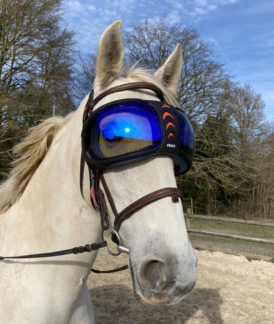 eVysor eQuick anti-UV 100% equine uveitis goggles - blue mirror - Equidiva