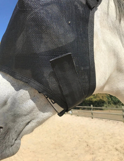Equivizor ophthalmological convalescence goggles for horses - Transparent anti-UV PVC - Equidiva