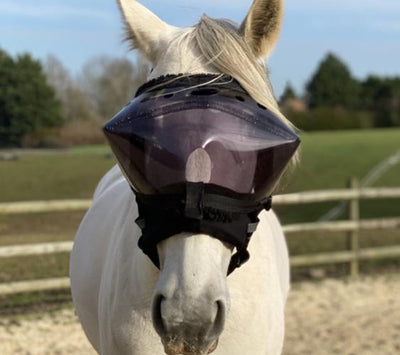 Equivizor ophthalmological convalescence mask for horses - Dark PVC anti-UV - Equidiva