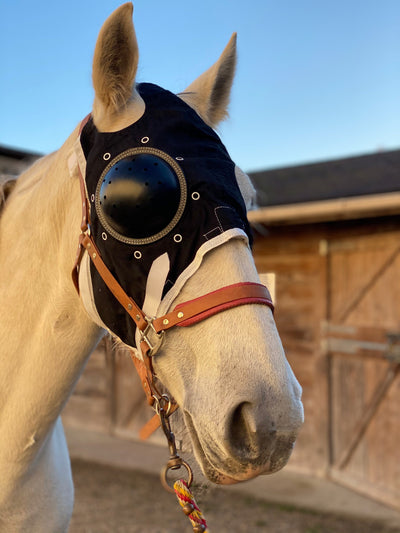 Equivet unilateral rigid eye mask