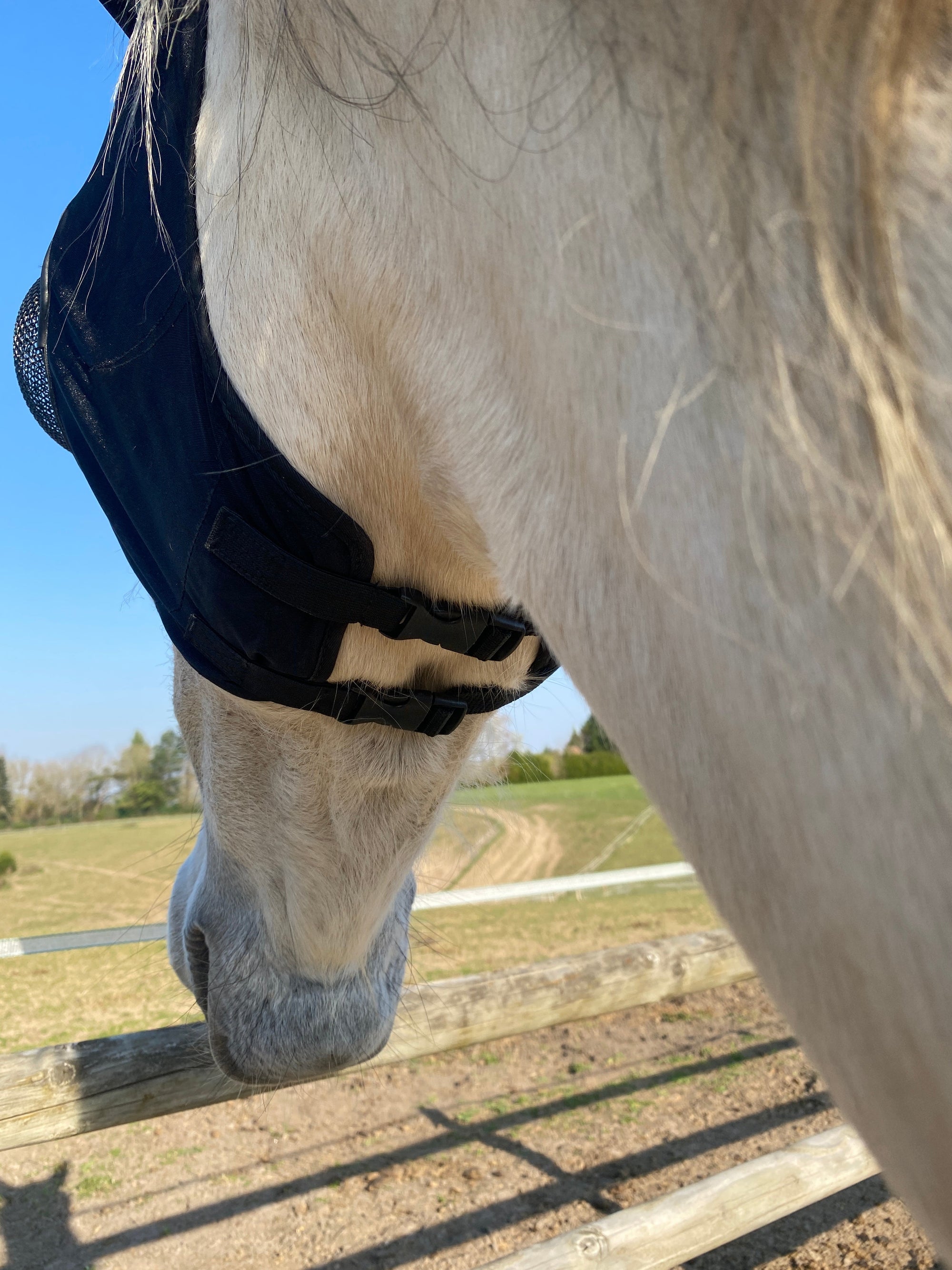 Zilco mask, Airlite model with earmuffs