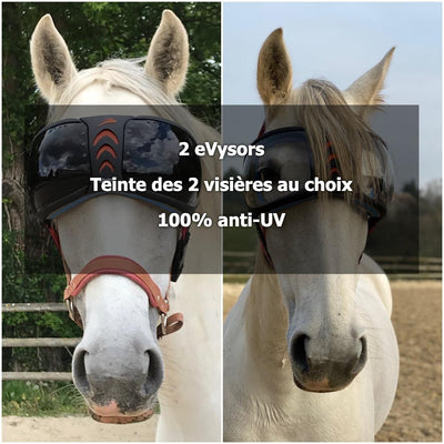 Pack 2 eVysor eQuick - choice of visor tint