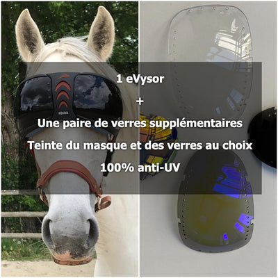 Pack masque Rambo + lunettes eVysor teinte au choix - Equidiva