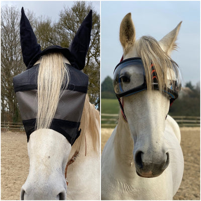 Equivizor light pack with earmuffs + eVysor mask of your choice