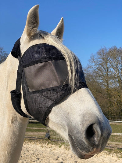 Equivizor light pack without earmuffs + eVysor mask of your choice