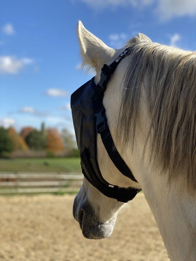 Pack - eVysor eQuick mask and Equivizor lightweight mask without earmuffs horse