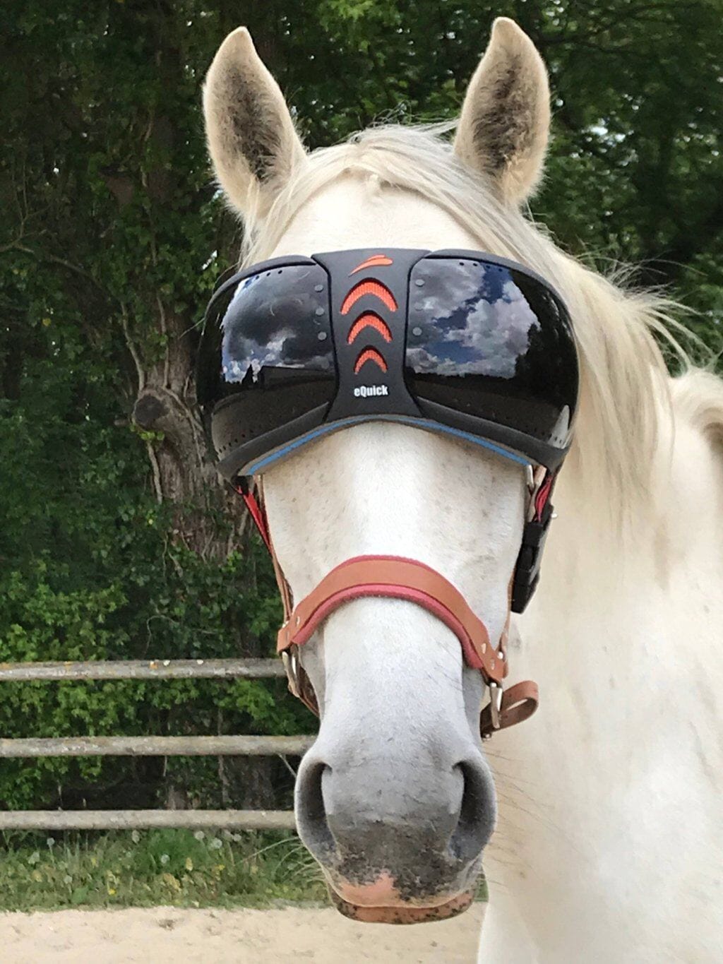 eVysor eQuick paardenbril 100% UV-bescherming - donker