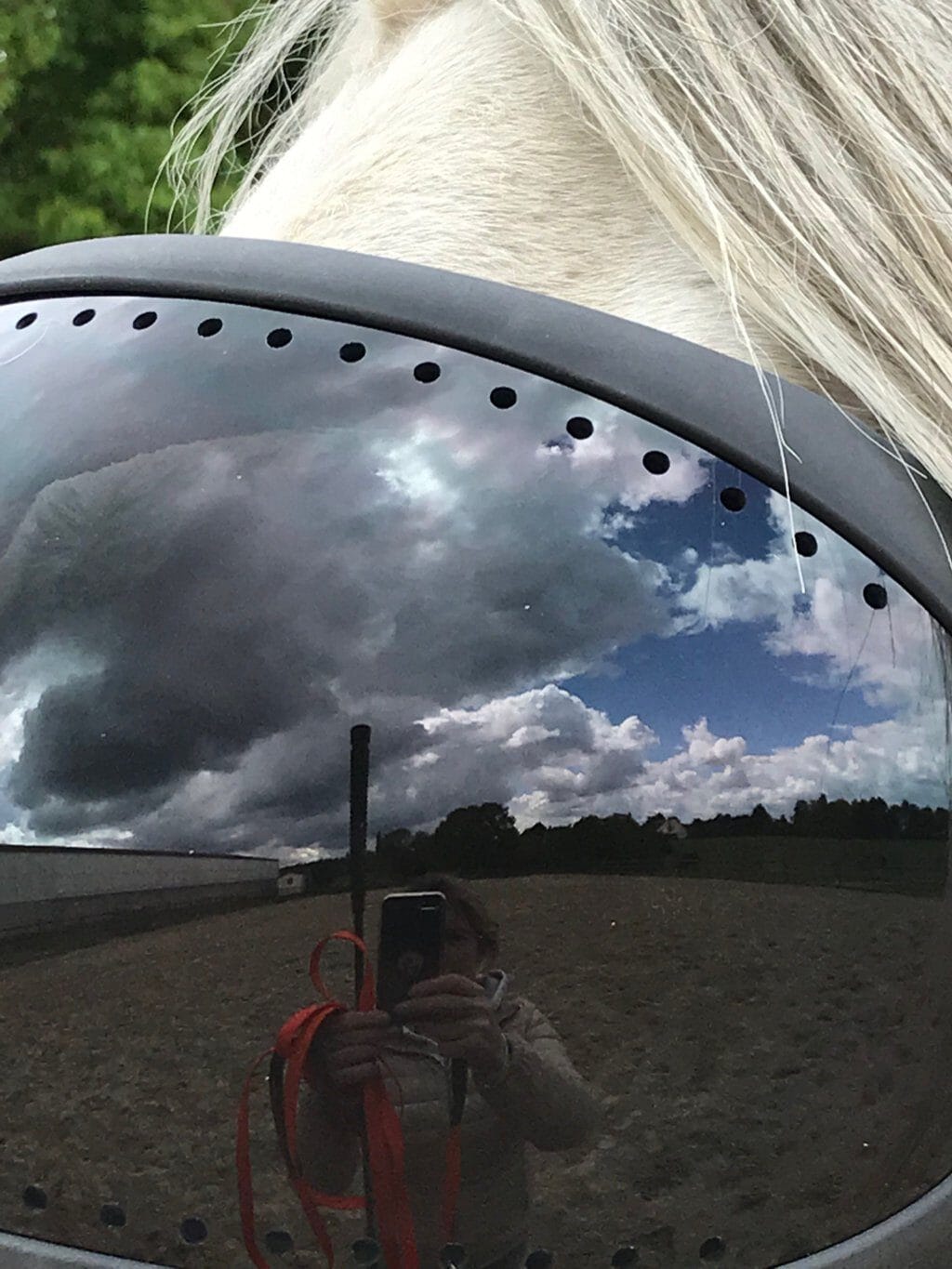 eVysor eQuick paardenbril 100% UV-bescherming - donker