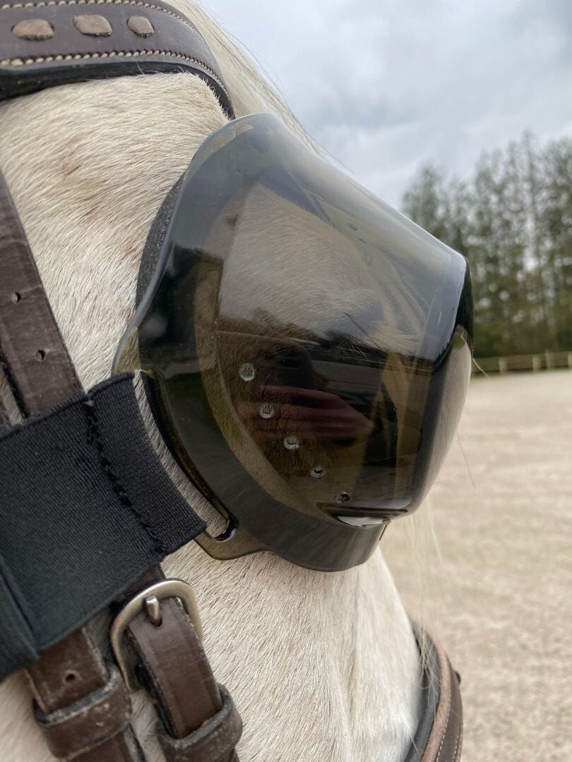 Equigoogs-bril 100% UV-bescherming - getint