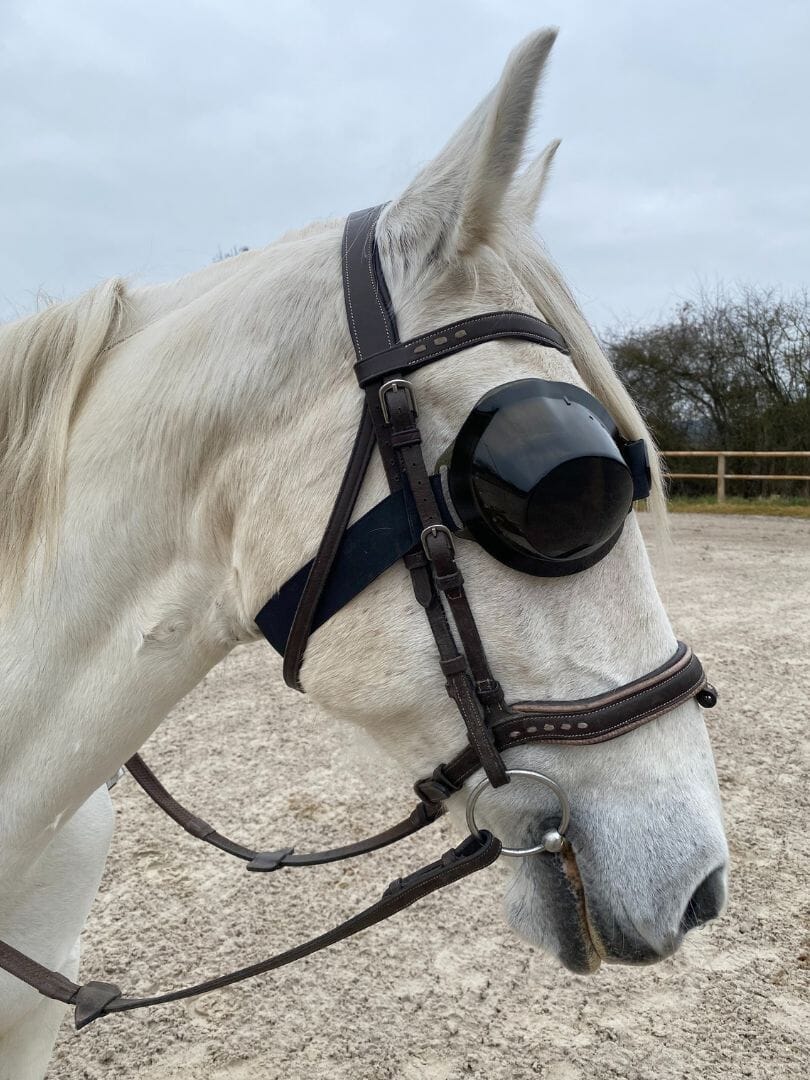 Equigoogs-bril 100% UV-bescherming - getint