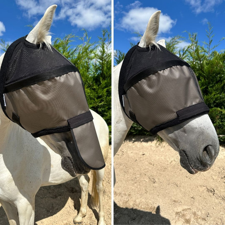Pakket met 2 Helios-maskers zonder oorkappen