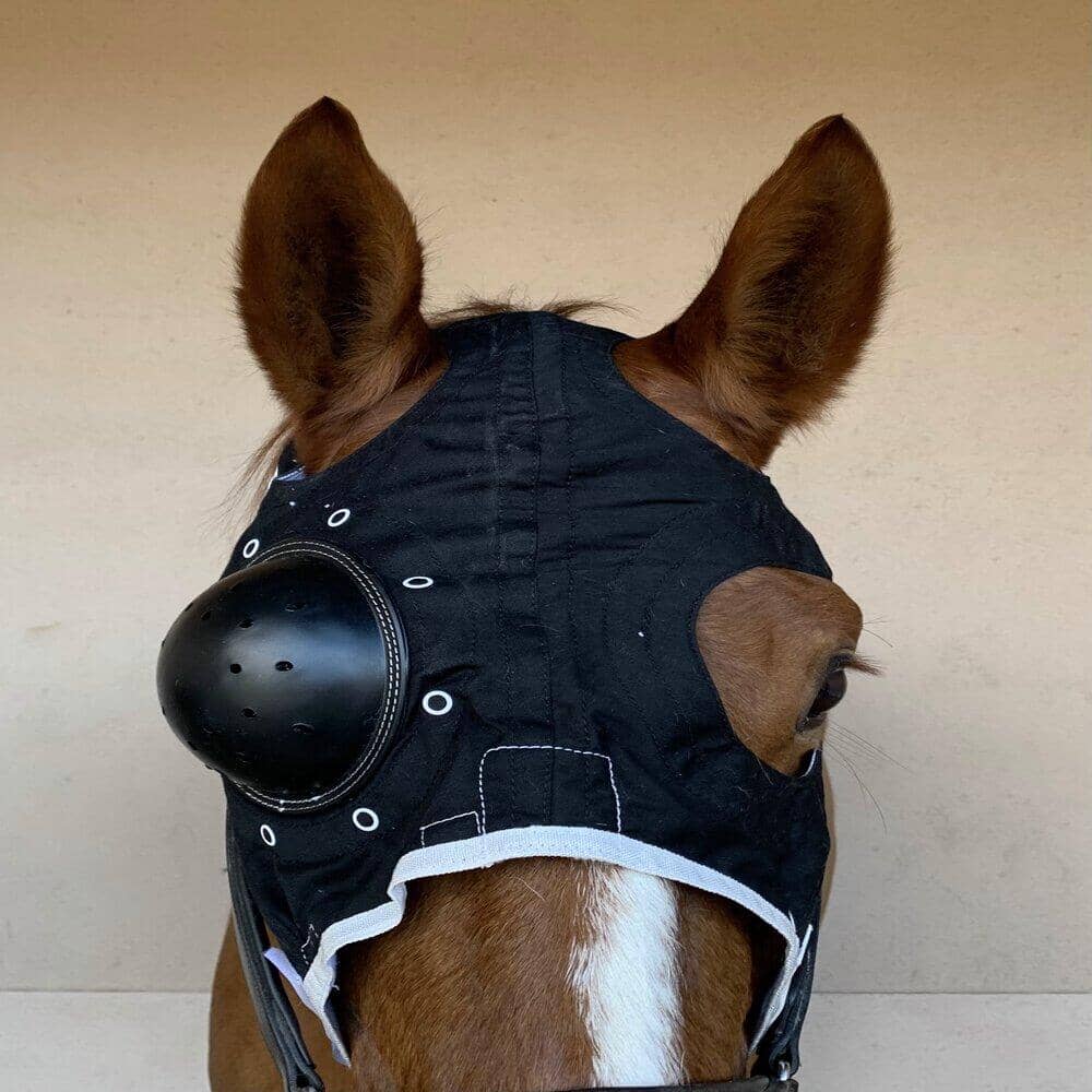 Pakket met 2 maskers: Lichtgewicht met oorkappen + Equivet