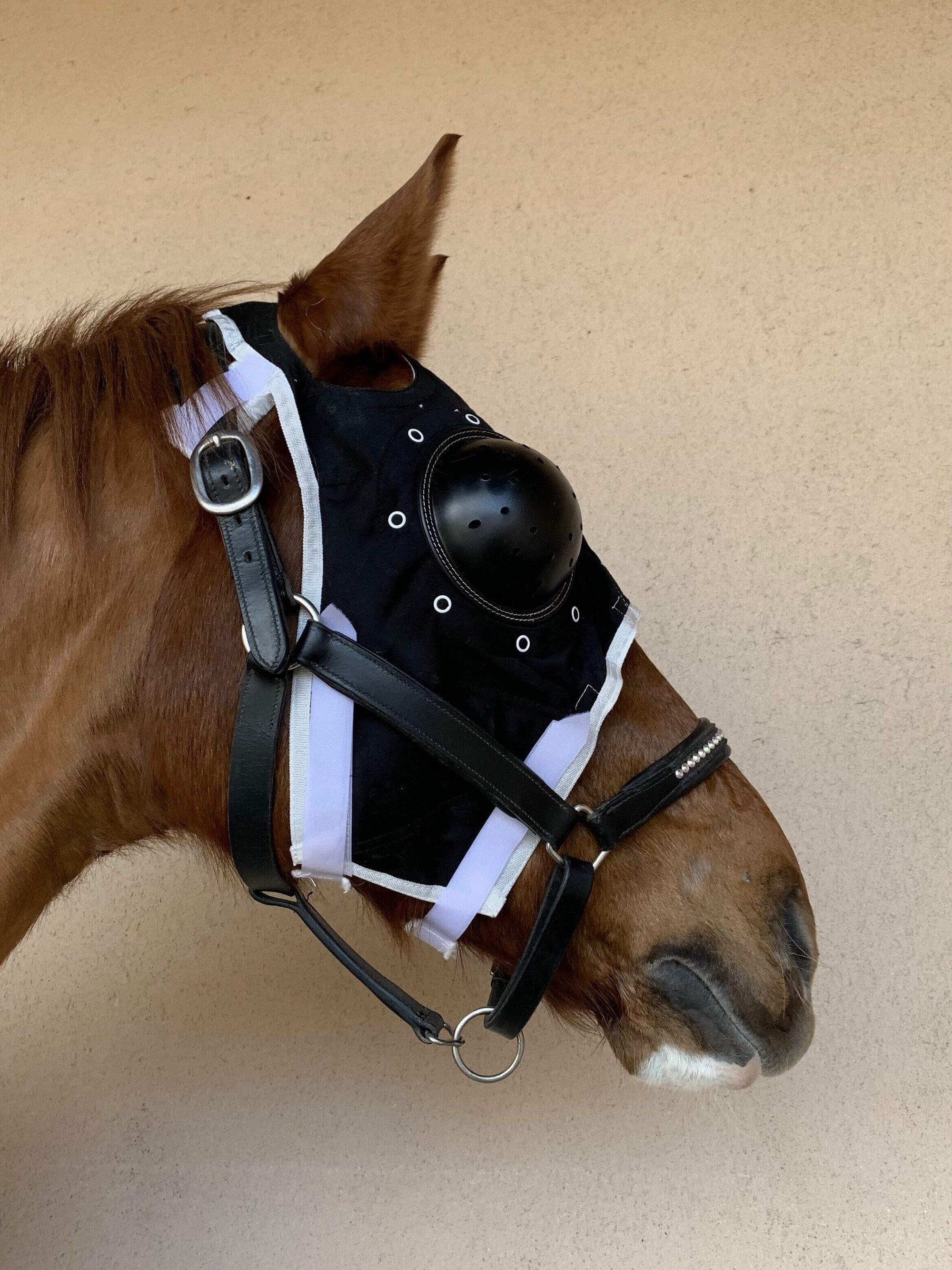 Pakket met 2 maskers: Lichtgewicht zonder oorkappen + Equivet