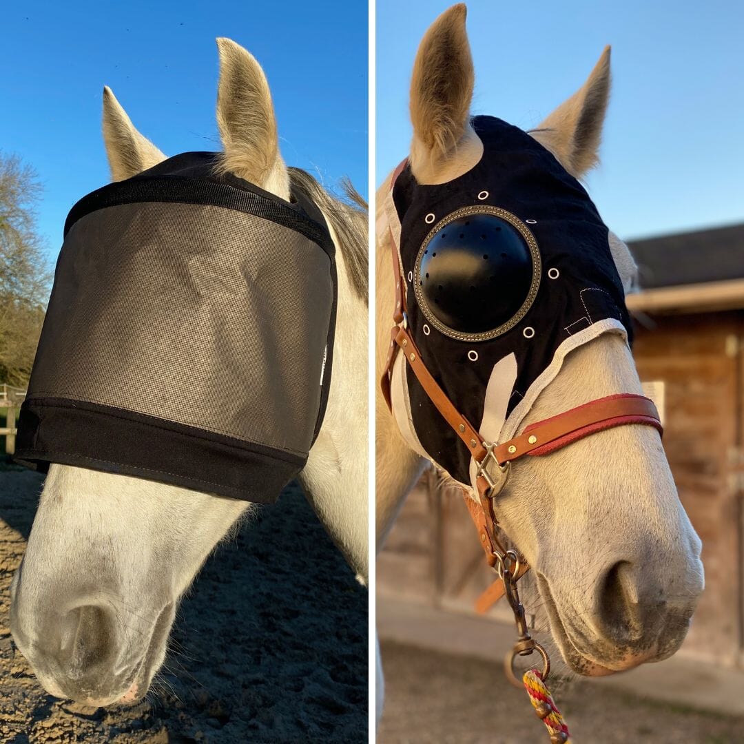 Pakket met 2 maskers: Premium zonder oorkappen + Equivet-masker met schaal