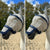 Pack 2 masques Rambo Plus Horseware avec cache-oreilles et cache-nez amovible