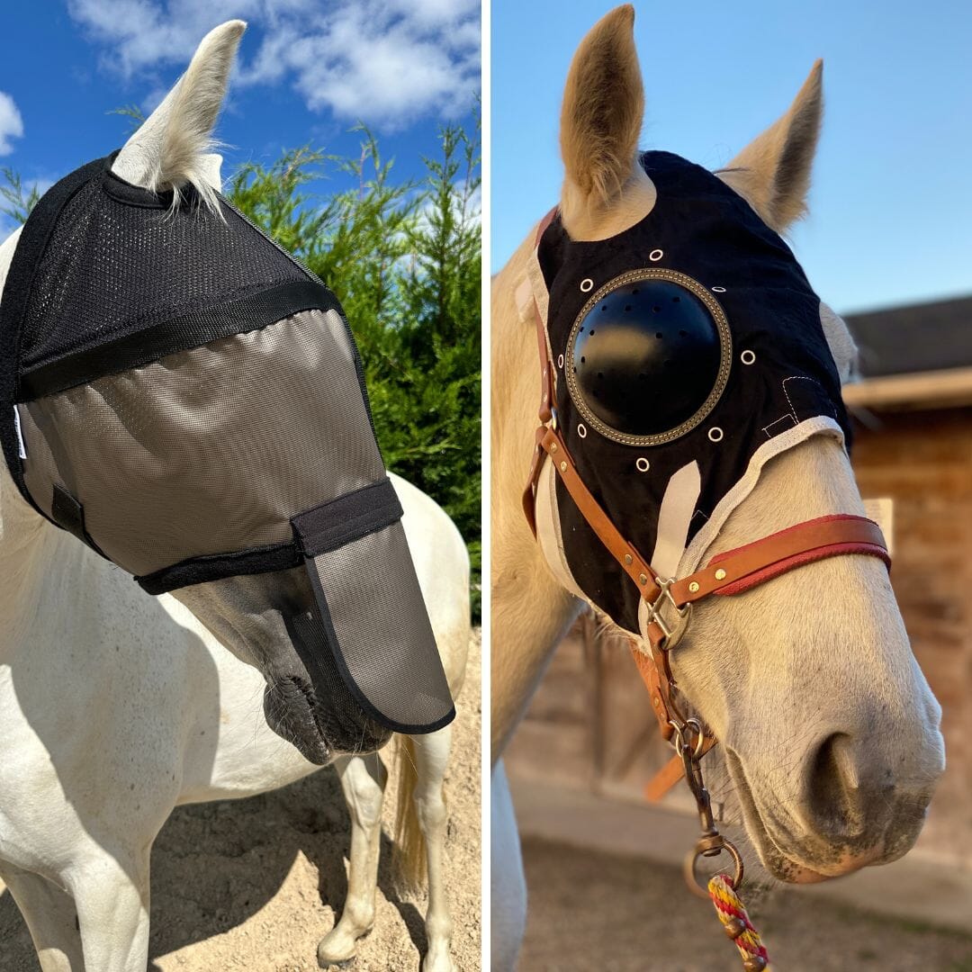 Pack masque Helios sans cache-oreilles + masque à coque Equivet