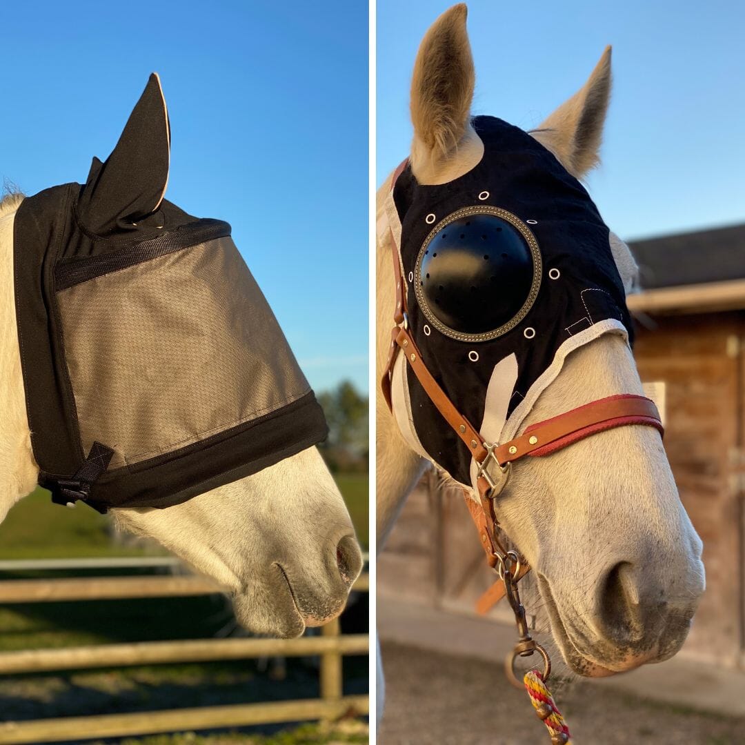 Premium maskerpakket met oorkappen en Equivet-masker met schaal