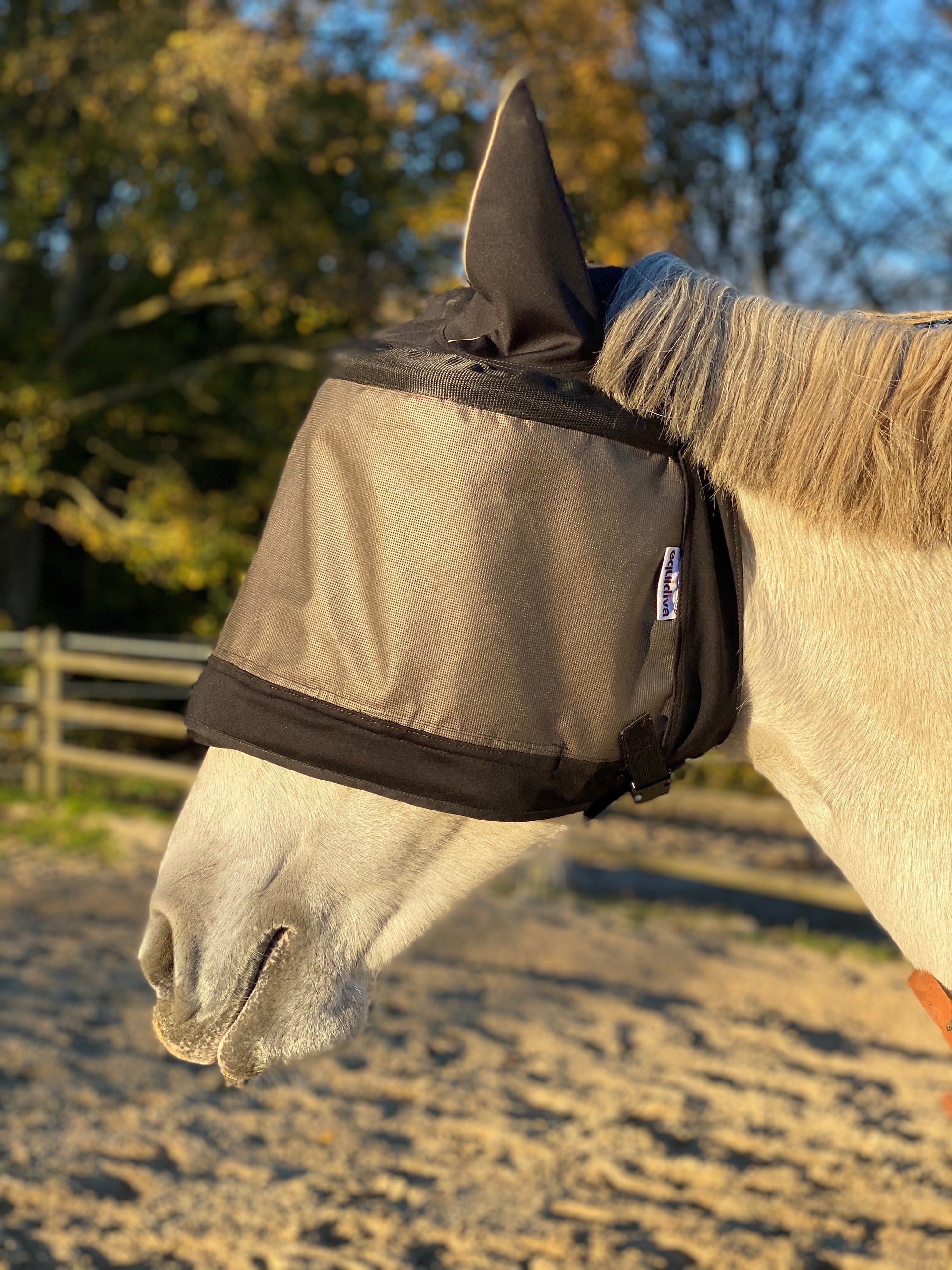 1 Premium equidiva-masker met oorkappen + eVysor eQuick-bril