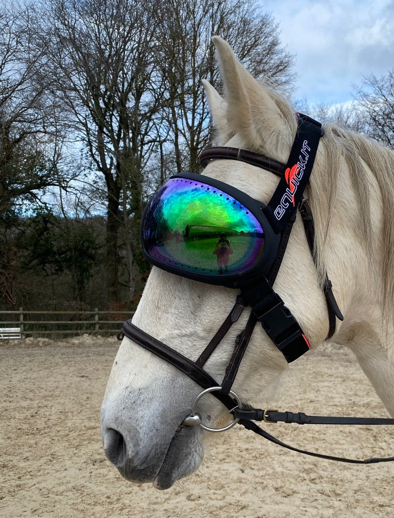 eVysor eQuick paardrijbril 100% UV-bescherming - groene spiegelglazen -