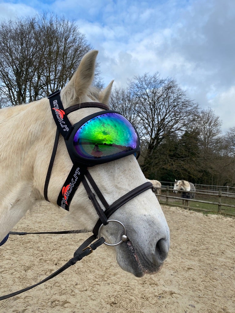 eVysor eQuick paardrijbril 100% UV-bescherming - groene spiegelglazen -